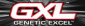 GENETIC EXCEL