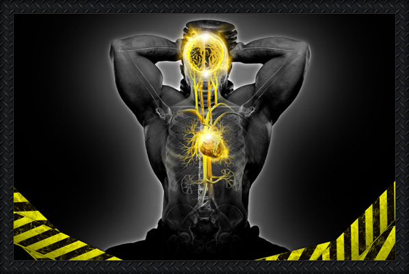 3ad_body_img_enhancedper