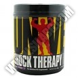 UNIVERSAL SHOCK THERAPY