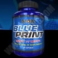 MAN Blue Print 80 caps