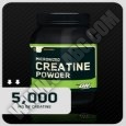 OPTIMUM NUTRITION CREATINE POWDER
