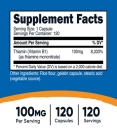 Vitamin B1 Thiamine 100 mg / 120 Caps