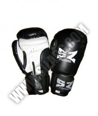 sz fighters boxing gloves