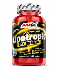 AMIX Lipotropic Fat Burner / 100 Caps