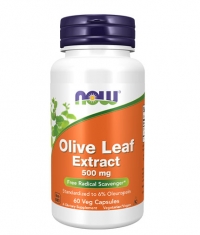 NOW Olive Leaf Extract 500 mg / 60 Vcaps