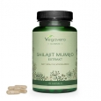 VEGAVERO Shilajit Mumijo Extract / 90 Caps