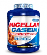 QUAMTRAX NUTRITION Micellar Casein