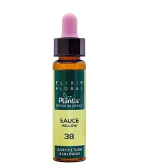 ARTESANIA AGRICOLA Plantis Sauce / Willow / Elixir Floral 38 / 10 ml