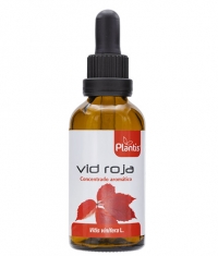 ARTESANIA AGRICOLA Plantis Vid Roja / Red Vine Leaves (Tincture) /  50 ml