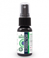 DOCTOR'S FORMULAS Liposomal Sleep Formula / 24 ml