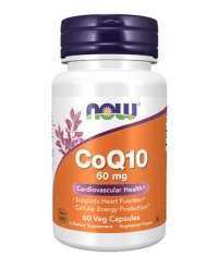 NOW CoQ10 60 mg / 60 Vcaps