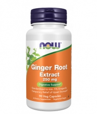 NOW Ginger Root Extract 250 mg / 90 Vcaps