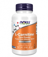 NOW L-Carnitine Powder