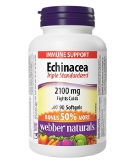 WEBBER NATURALS Echinacea (Triple Standardized Extract) 2100 mg / 90 Softgels