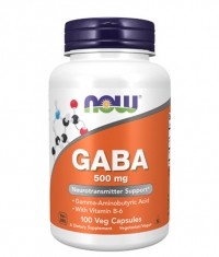 NOW GABA + B-6 / 500 mg / 100 Vcaps